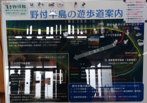 5日目　野付半島遊歩道案内